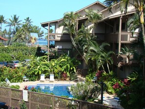 Un hotel con piscina rodeado de exuberante vegetación y palmeras.