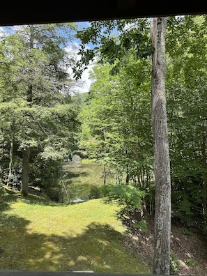 A forested area with a pond and a grassy path. - 3BR_3BA Log Cabin, Pond Front, Hot Tub, Pool Table, near Skiing & Pet friendly (Seven Devils)