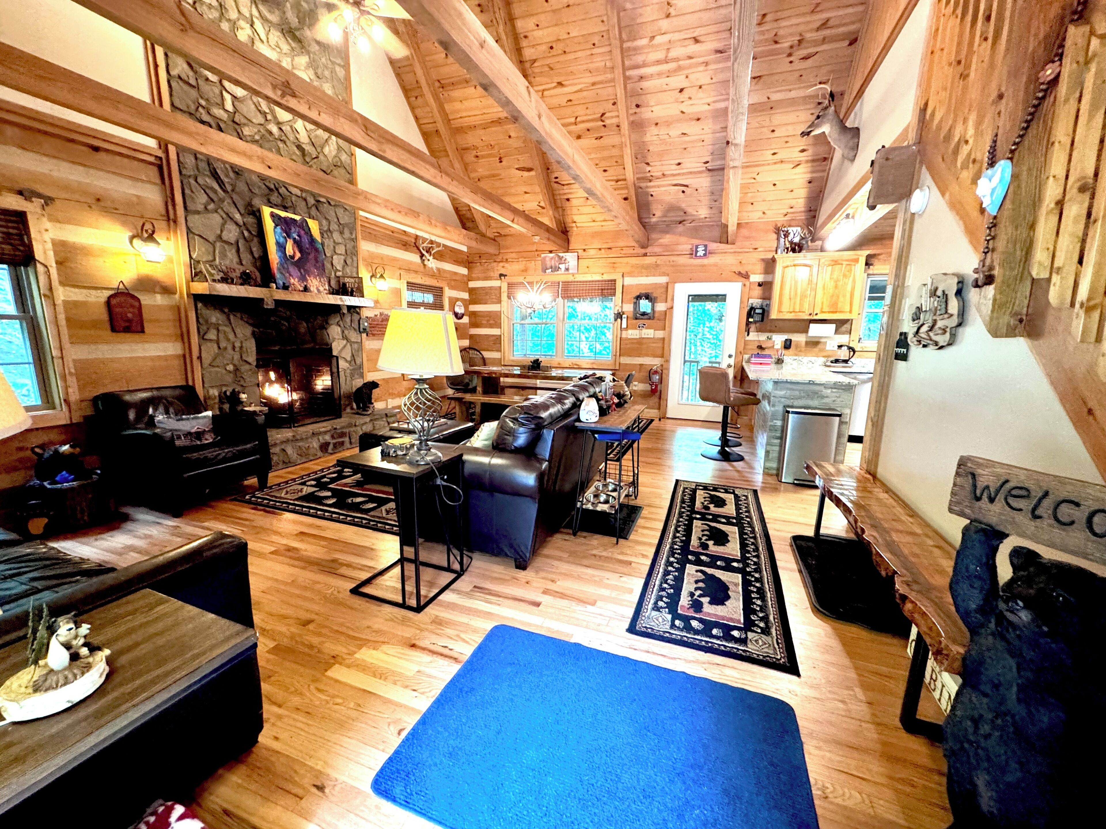 Smart TV, fireplace, DVD player, books