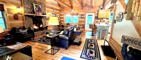 Smart TV, fireplace, DVD player, books