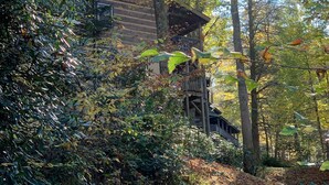 Una cabana rústica envoltada per un bosc dens, amb un balcó de fusta i una escala que condueix a l'entrada.