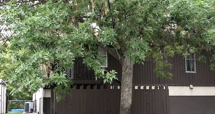 Large 3 bedroom Great Falls get away