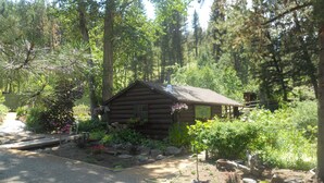 Un chalet rustique entouré d’une forêt dense, avec un chemin de gravier menant à l’entrée.