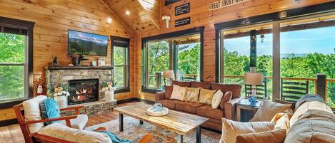 电视、壁炉、电子游戏、DVD 播放器