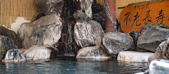 The Grand Spa Nandaimon - Hostel