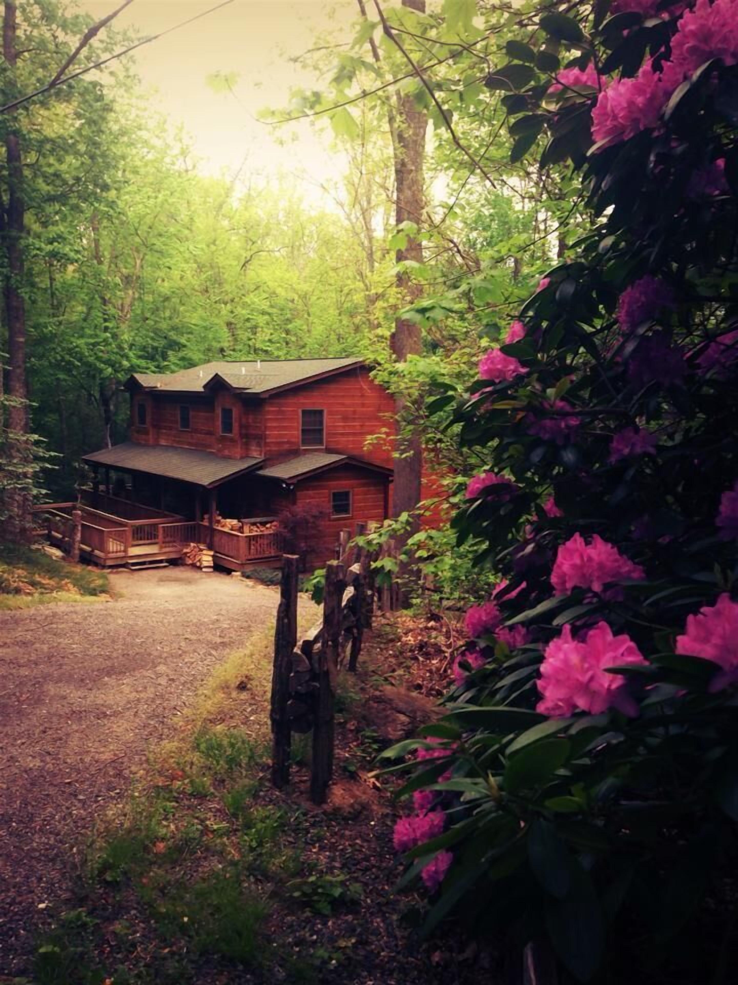 Creek View