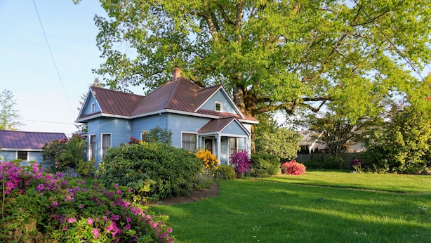 A two-story house with a blue exterior and a brown roof, surrounded by a well-maintained garden with various flowering plants and a lawn.