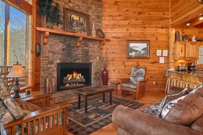 TV, fireplace, video games, DVD player