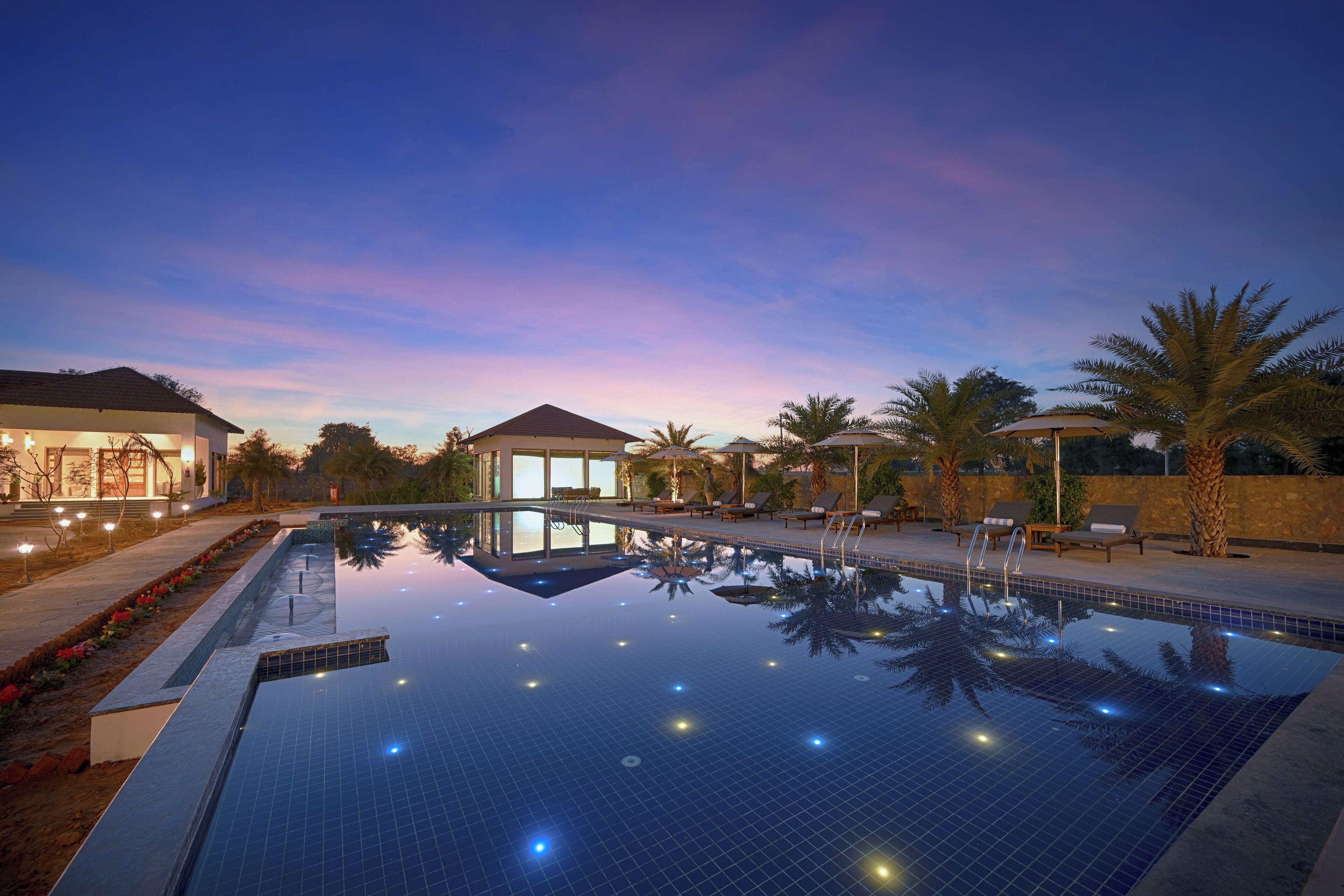 A swimming pool with a tiled deck, lounge chairs, and palm trees.