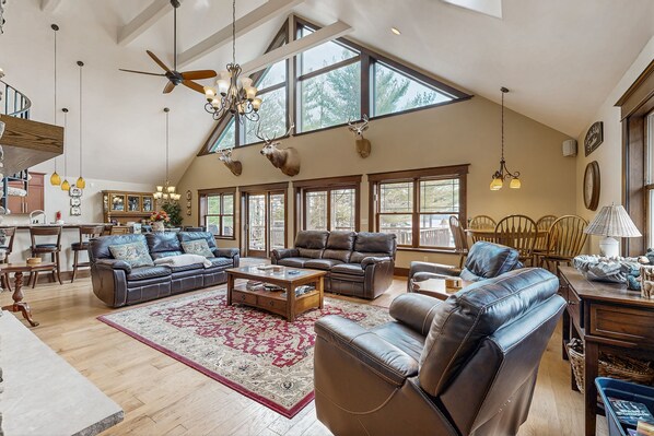 TV, fireplace, video games, DVD player