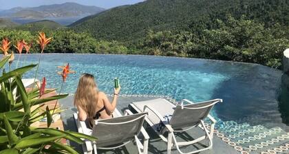 Where Dreams Come True - No Pets Allowed