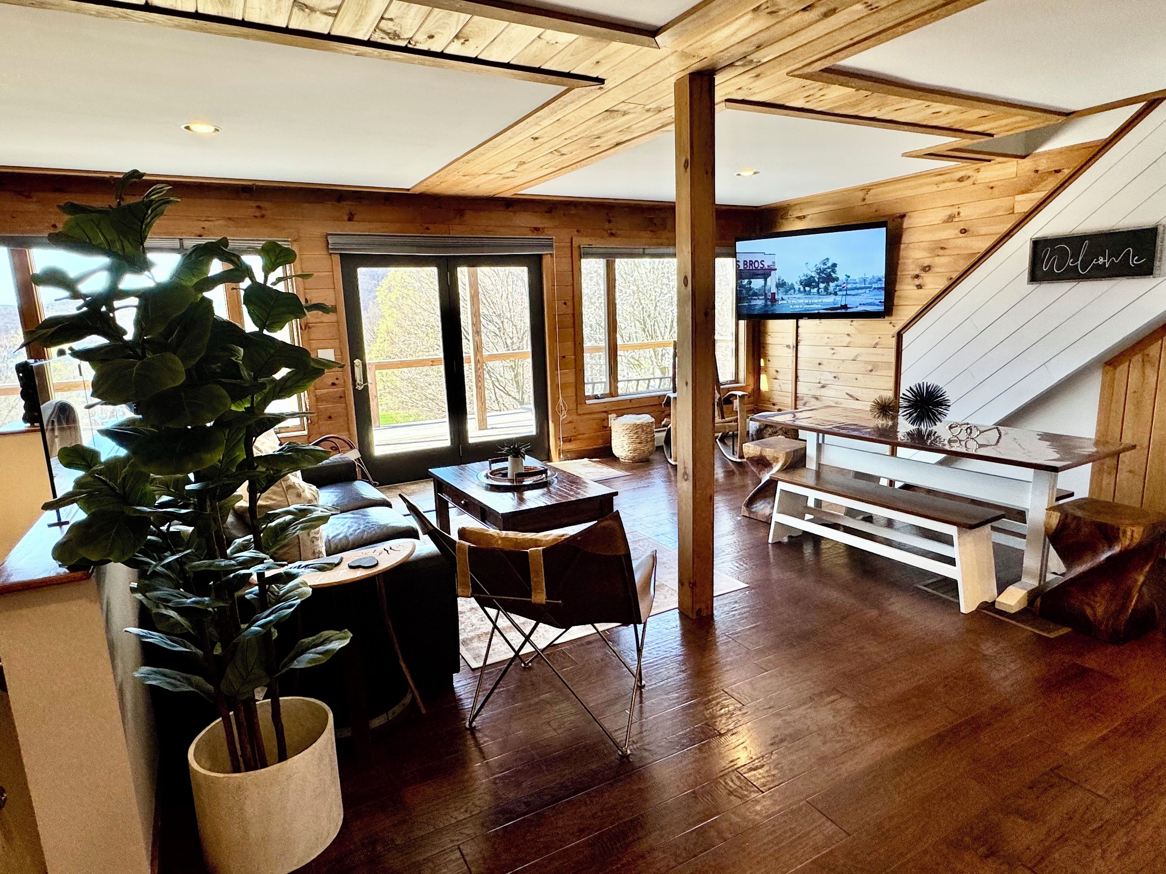 智能电视、DVD 播放器、书