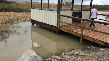Enceinte de l’hébergement