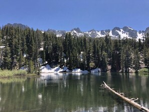 A lake surrounded by dense coniferous forest and snow-capped mountains under a clear blue sky. - Mammoth Inn,Queen open shower G (Mammoth Lakes)