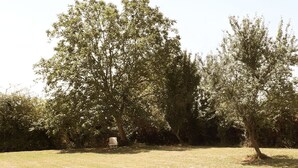 Un champ herbeux avec deux grands arbres et une petite construction en arrière-plan.