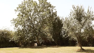 Jardín