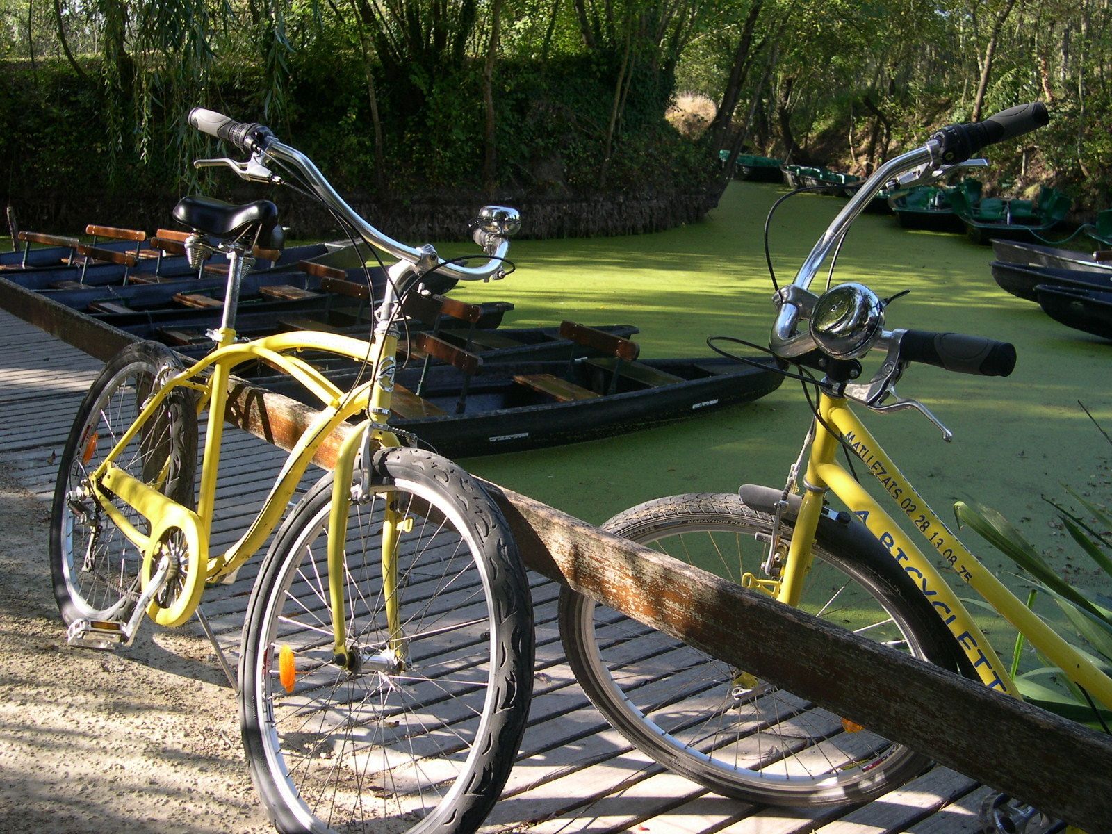 Un vélo jaune est garé sur un quai doté d’une rambarde en bois, entouré de verdure et bordé par une étendue d’eau calme.