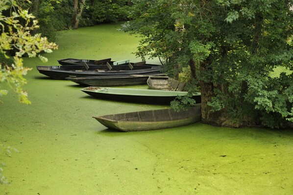 พายเรือ