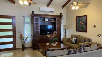 Smart TV, DVD player, books, stereo