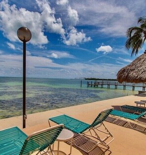 Property grounds - Ocean  &  Bay Views.  Welcome To Paradise! (Islamorada)