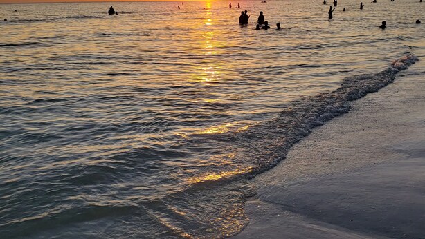 Een strand bij zonsondergang, met mensen in het water en een vliegende vogel.