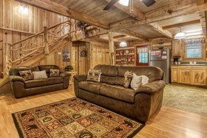 电视、壁炉、DVD 播放器