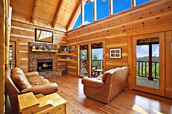 Télévision à écran plat, cheminée, lecteur de DVD