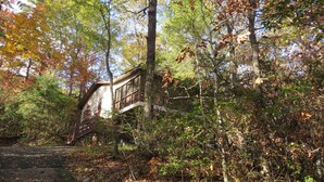 A rustic cabin surrounded by dense forest with a wooden staircase leading up to it. - Welcome to Owls Nest Cabin NC!<br><br>Close to Wineries, waterfalls, antique shops etc (Otto)