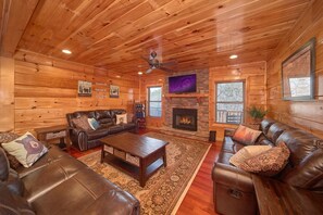 TV, fireplace, video games, DVD player