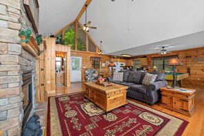 Smart TV, fireplace, DVD player, books