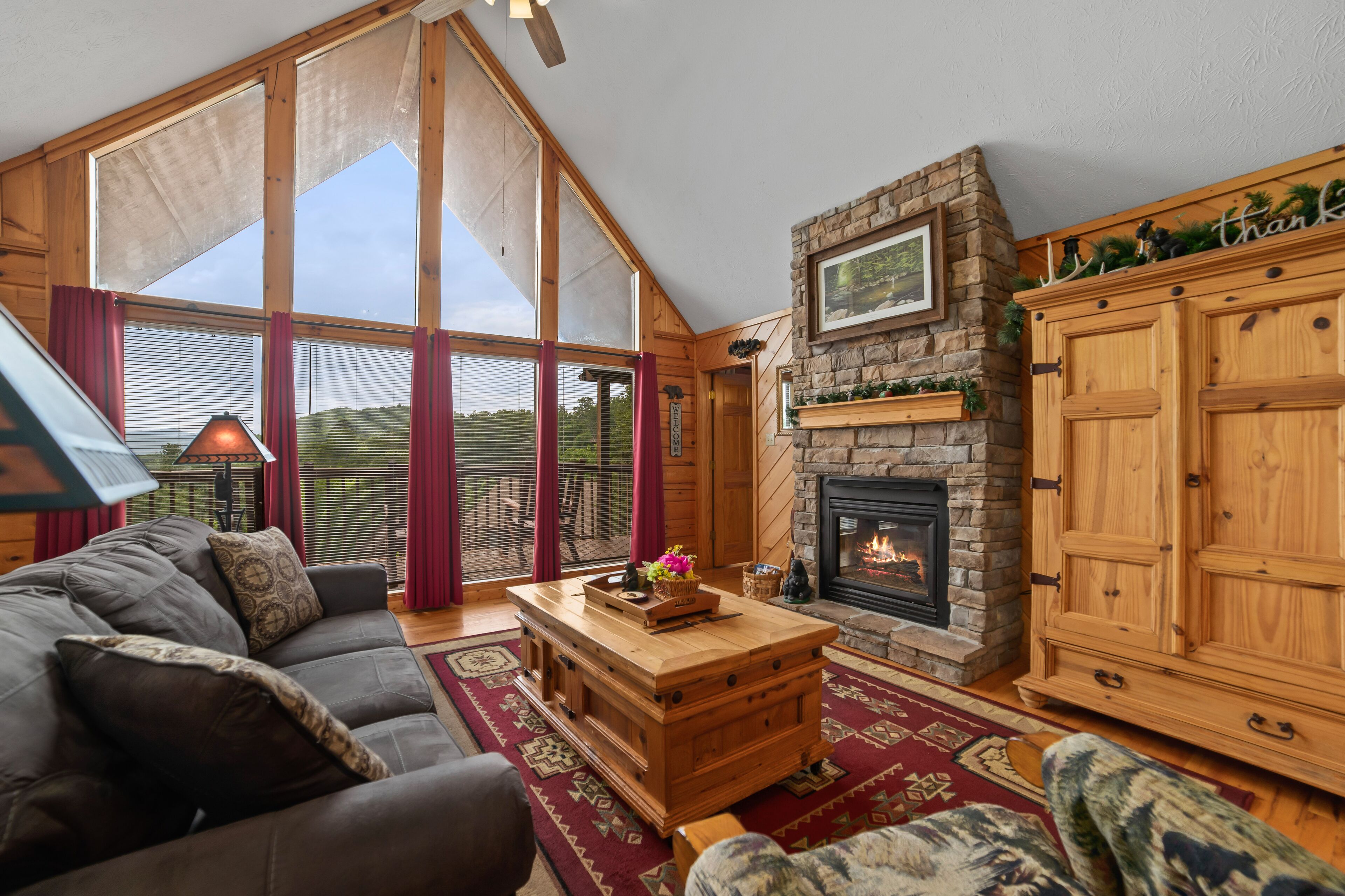 Smart TV, fireplace, DVD player, books