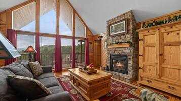 Smart TV, fireplace, DVD player, books