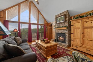 Smart TV, fireplace, DVD player, books