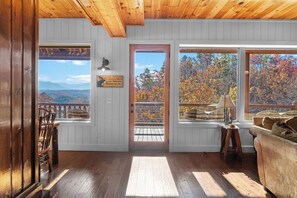 TV, fireplace, video games, DVD player