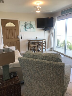 Televisión, reproductor de DVD y libros 