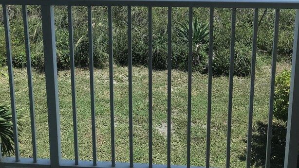 A beach view from a balcony with a metal railing, featuring a sandy beach, ocean, and a clear sky. - Amazing one bedroom direct ocean front condo with beautiful view of the ocean! (COCOA BEACH)