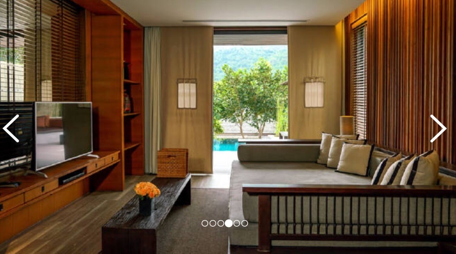 電視、DVD 播放機