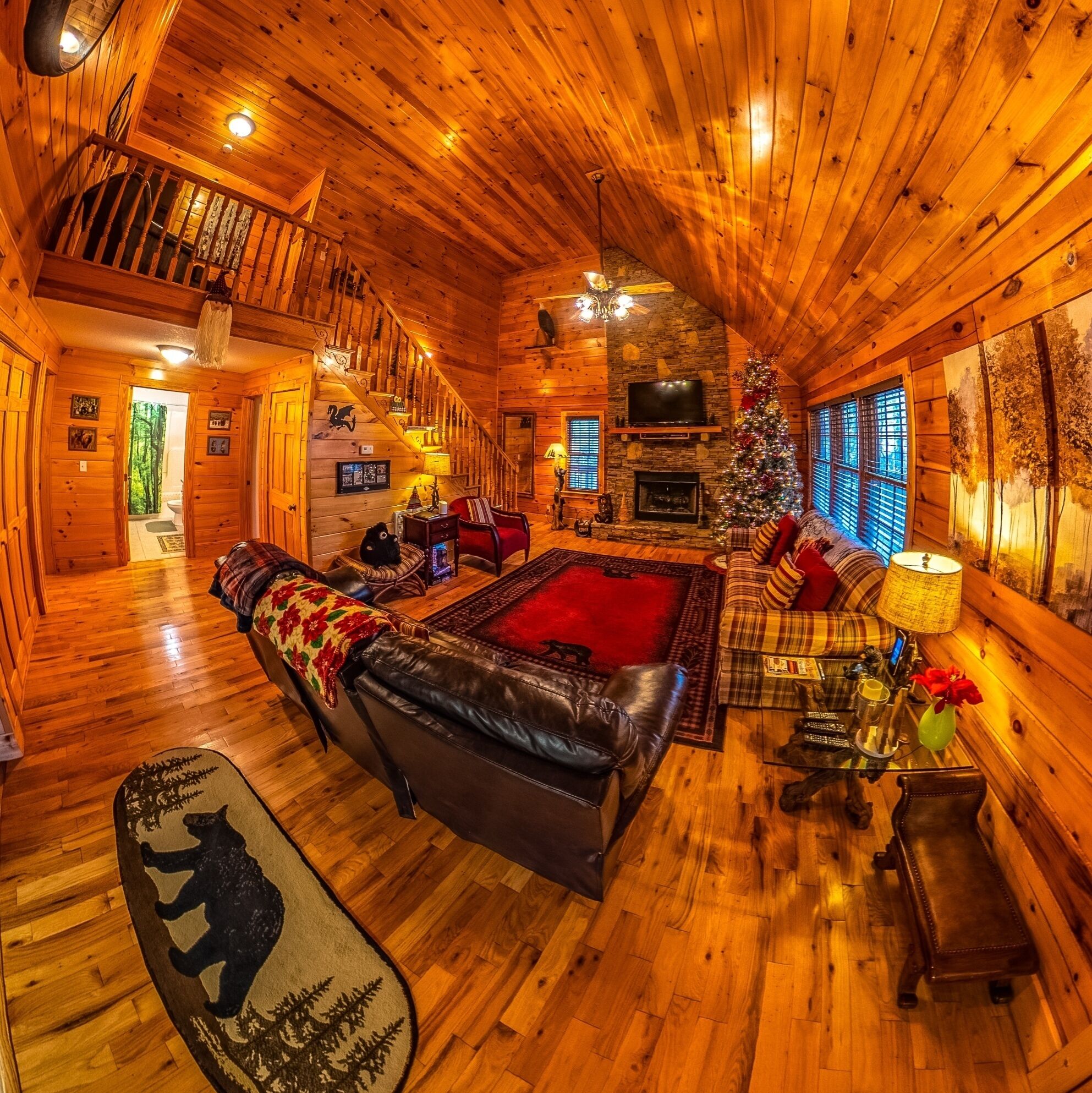 Cabin in the Great Smoky Mountains!