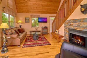 TV, fireplace, video games, DVD player