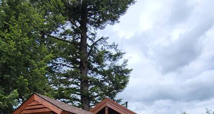 "Treehouse" Cozy retreat for 2! Yellowstone Park only 14 miles away.