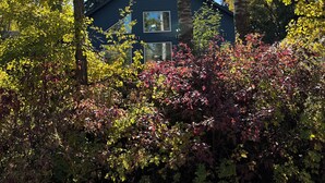 A house surrounded by trees and bushes. - Kinabik Cabin / Half block from beach, quiet cottage district (Sylvan Lake)