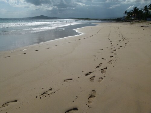 Deluxe Suite On The Beach In Puerto Villamil, Isla Isabela (Read Ad First)