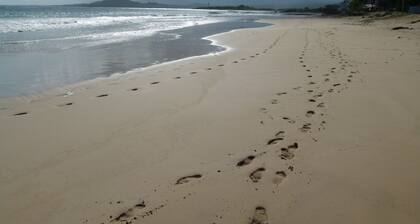 Deluxe Suite On The Beach In Puerto Villamil, Isla Isabela (Read Ad First)