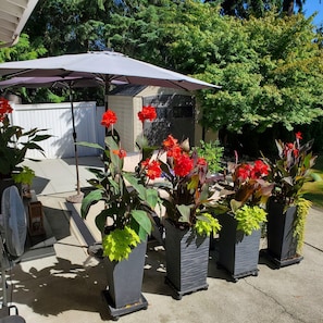Terrace/patio - Studio Zen in Kirkland (Kirkland)