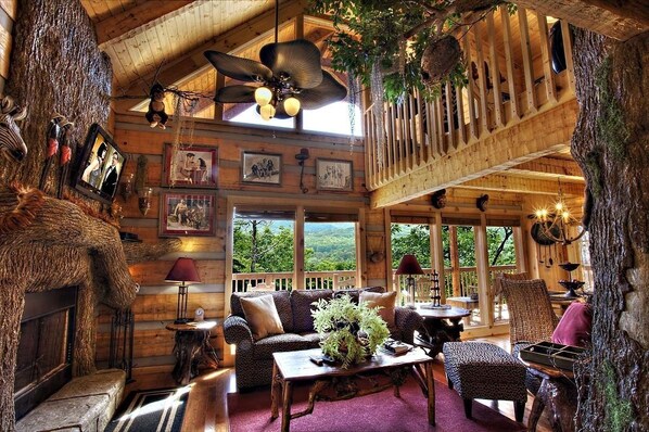 TV, fireplace, DVD player