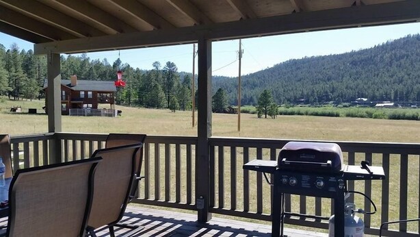 Um espaço coberto ao ar livre com churrasqueira e cadeiras, com vista para um campo gramado e uma cabana.