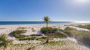 A beach with a palm tree, sandy dunes, and the ocean. - OCEAN'S REACH 4B3: 3rd Floor, Gorgeous Gulf-Front Views, Amenities Open! (Sanibel Island)
