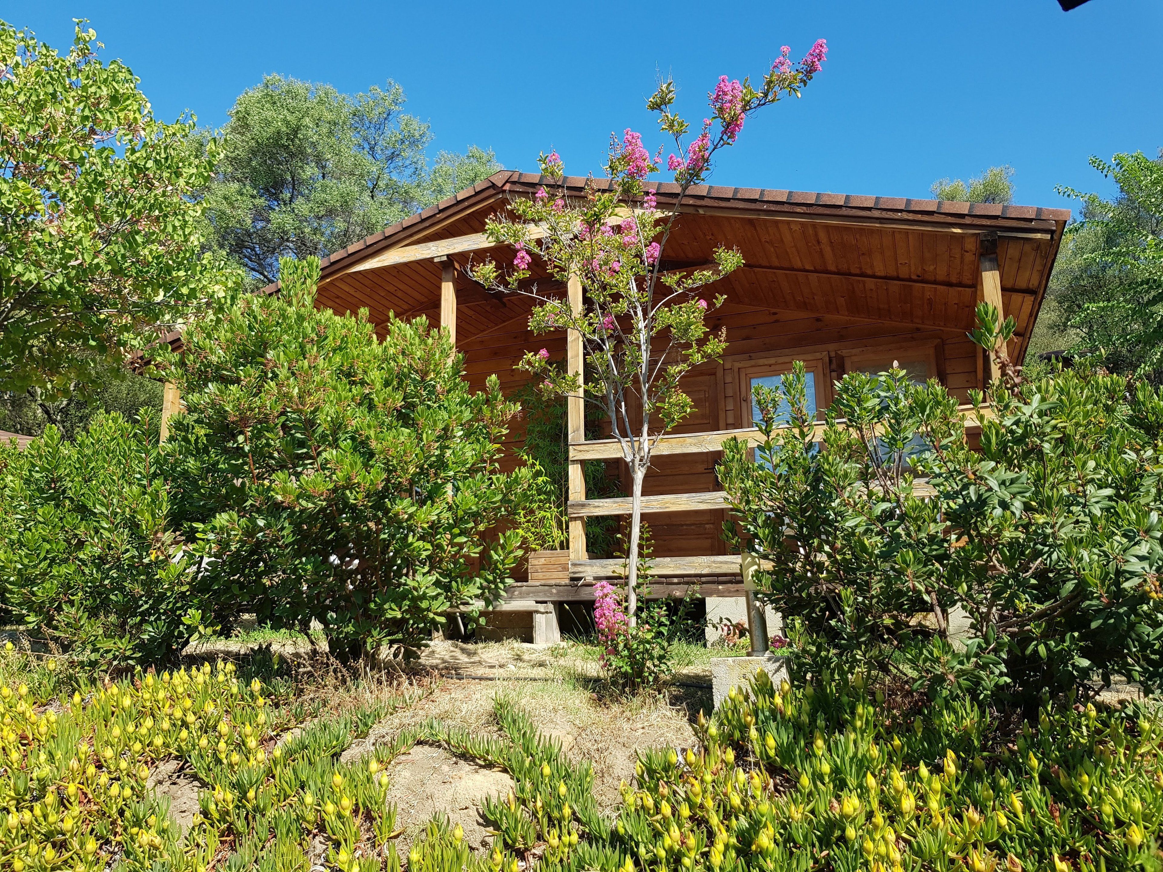 Une cabane en bois dotée d’un toit en pente, entourée d’une végétation luxuriante et de plantes en fleurs.