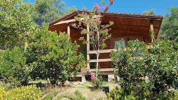 Une cabane en bois dotée d’un toit en pente, entourée d’une végétation luxuriante et de plantes en fleurs.