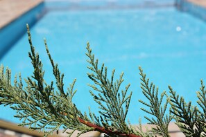 A pool with clear blue water and a close-up of green foliage in the foreground.